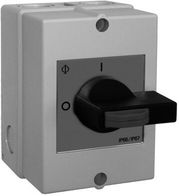 Wolf Revisionsschalter ESH 21