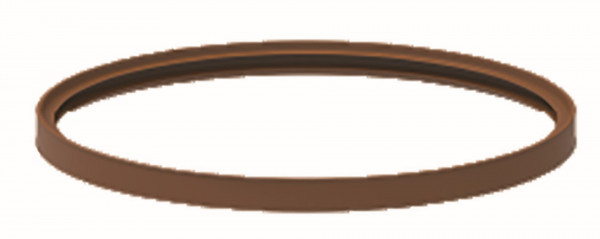 Fröling Lippendichtung Dm130