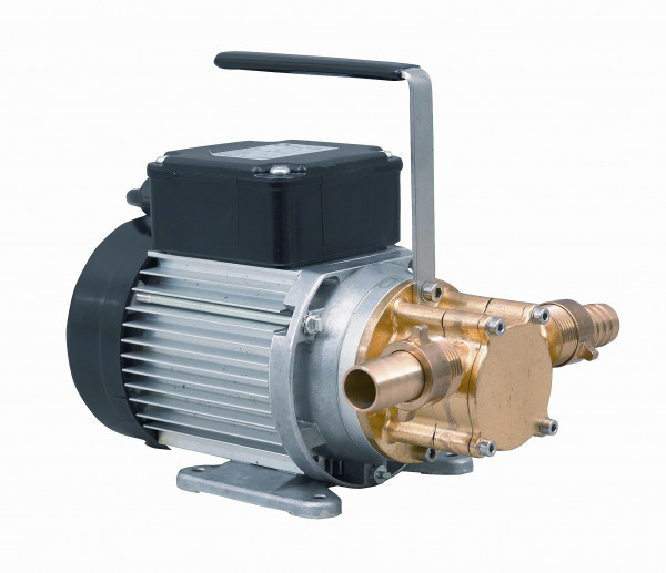 Calpeda Werkstattpumpe WP 15 230V Impellerpumpe für Heißwasser und Heizöl